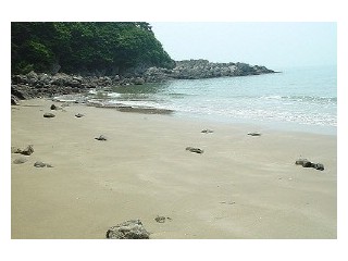 약진너머해변